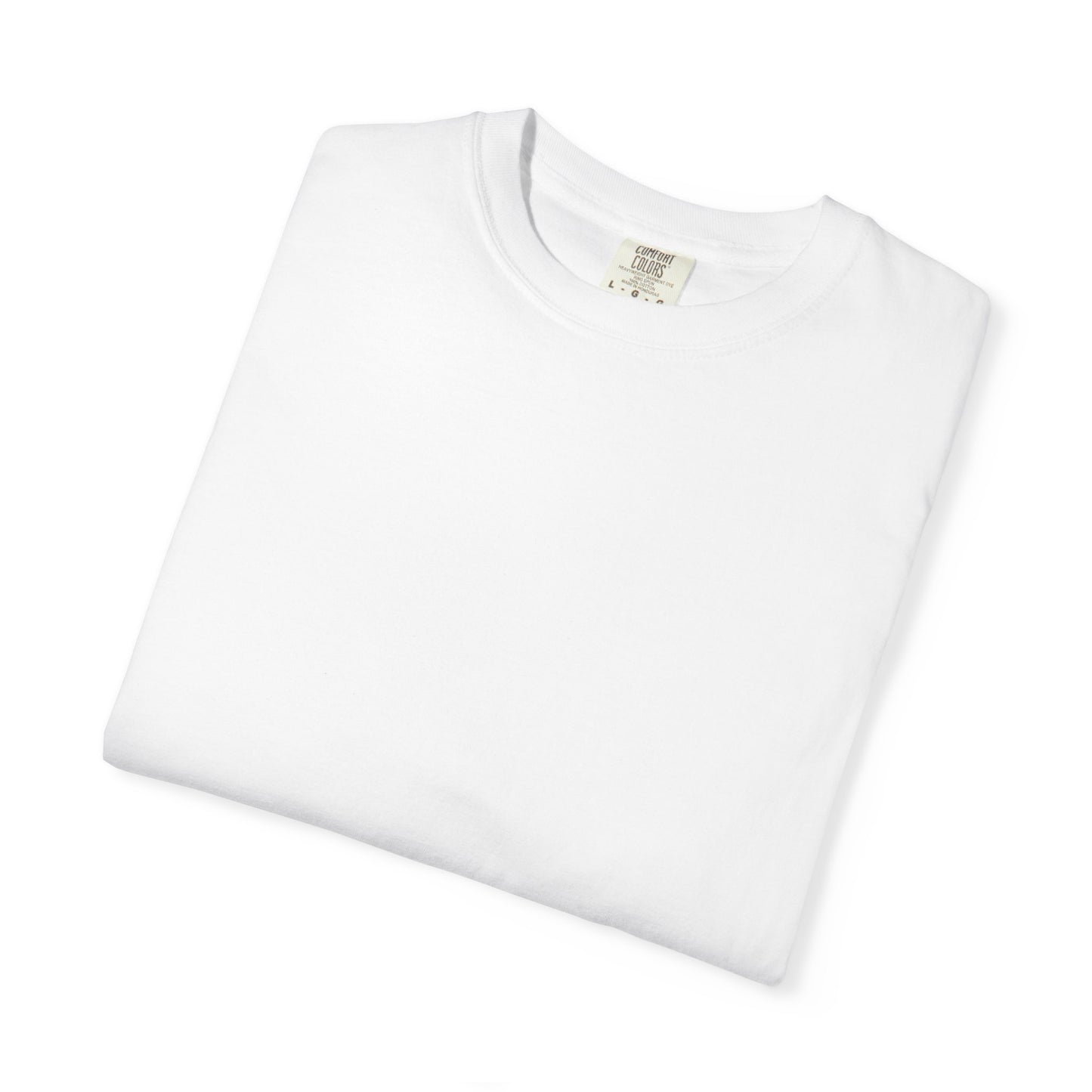 Camiseta unisex teñida con ropa con diseño “El plan de la sociedad de Dios”, camiseta inspiradora, ropa casual para el día a día
