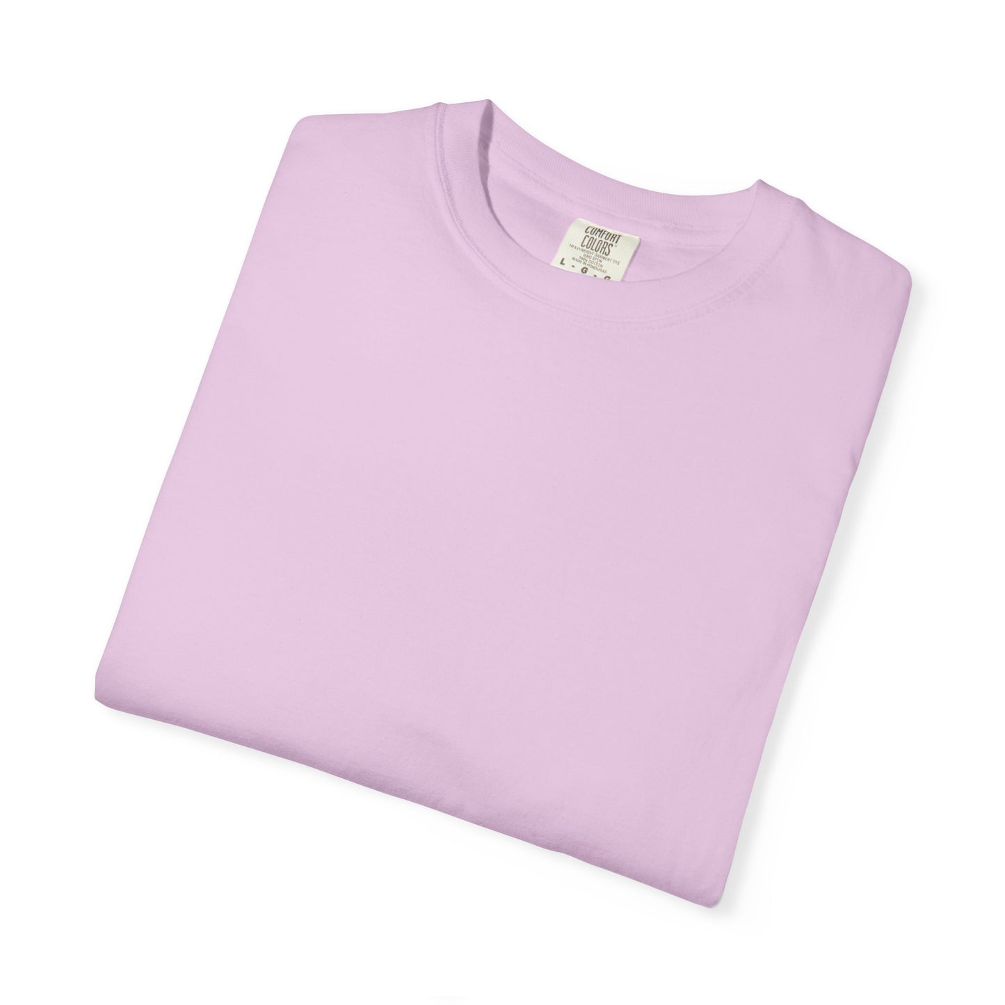 Camiseta unisex teñida con ropa con diseño “El plan de la sociedad de Dios”, camiseta inspiradora, ropa casual para el día a día