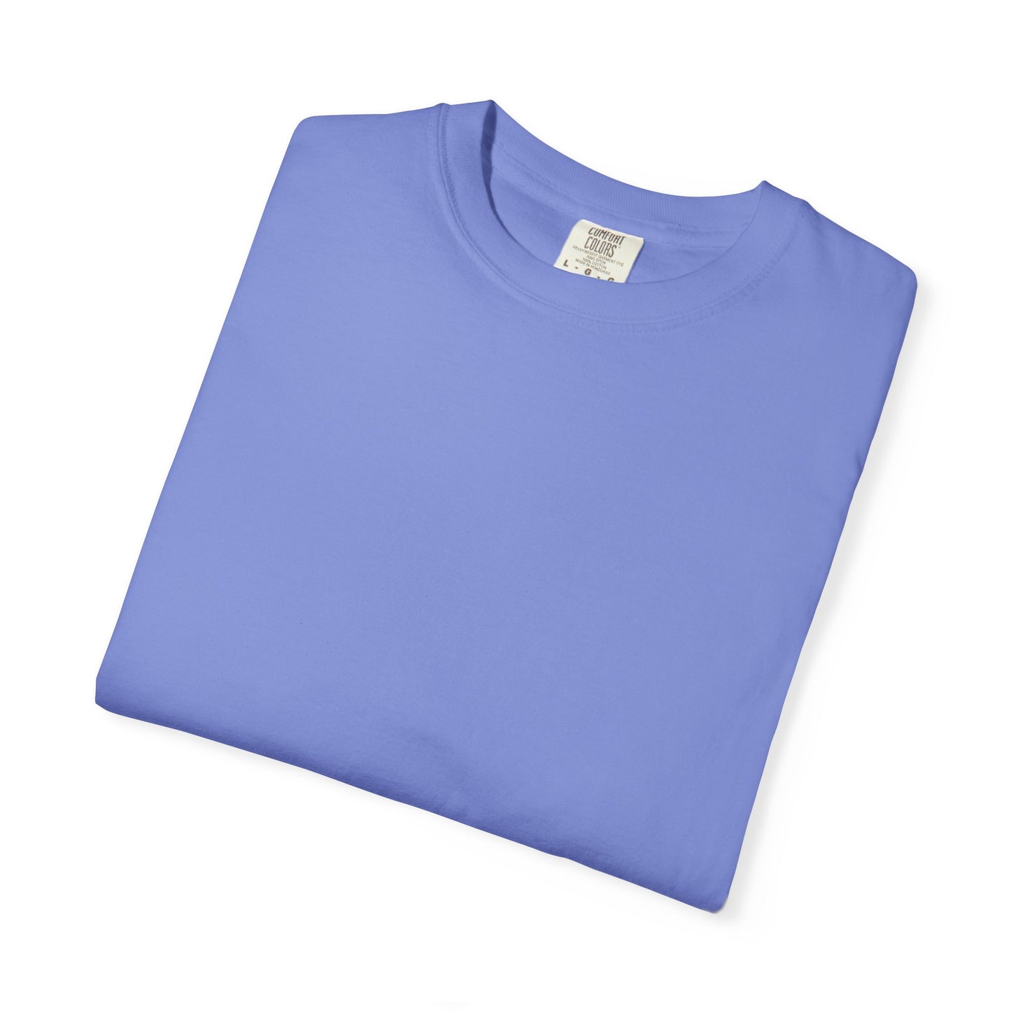 Camiseta unisex teñida con ropa con diseño “El plan de la sociedad de Dios”, camiseta inspiradora, ropa casual para el día a día