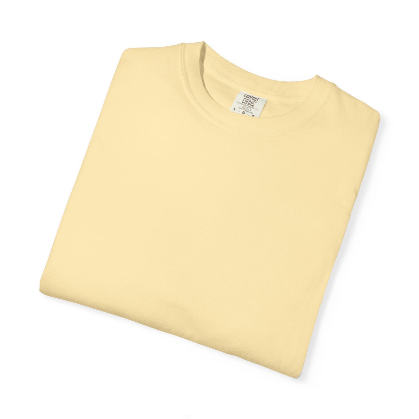 Camiseta unisex teñida con ropa con diseño “El plan de la sociedad de Dios”, camiseta inspiradora, ropa casual para el día a día