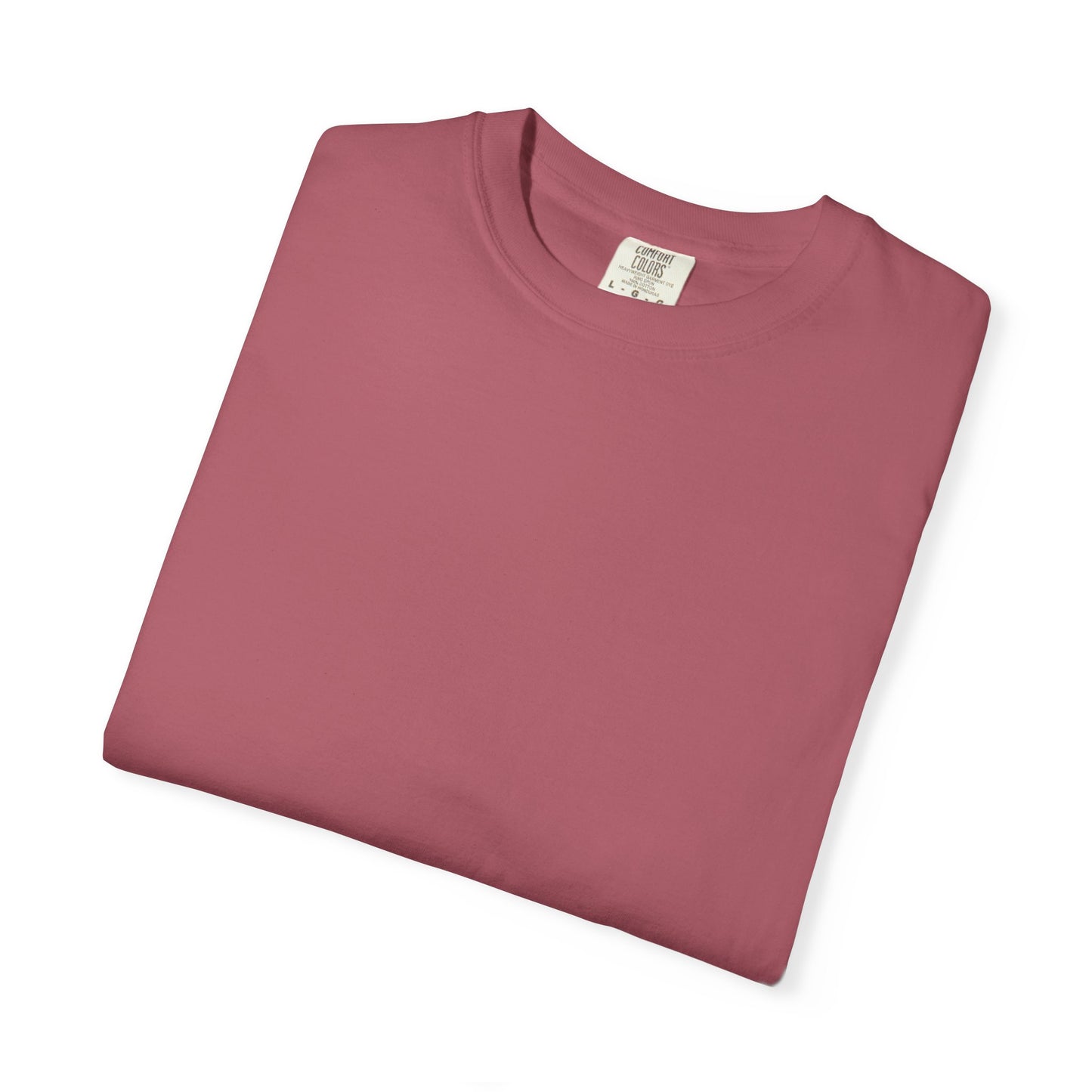 Camiseta unisex teñida con ropa con diseño “El plan de la sociedad de Dios”, camiseta inspiradora, ropa casual para el día a día