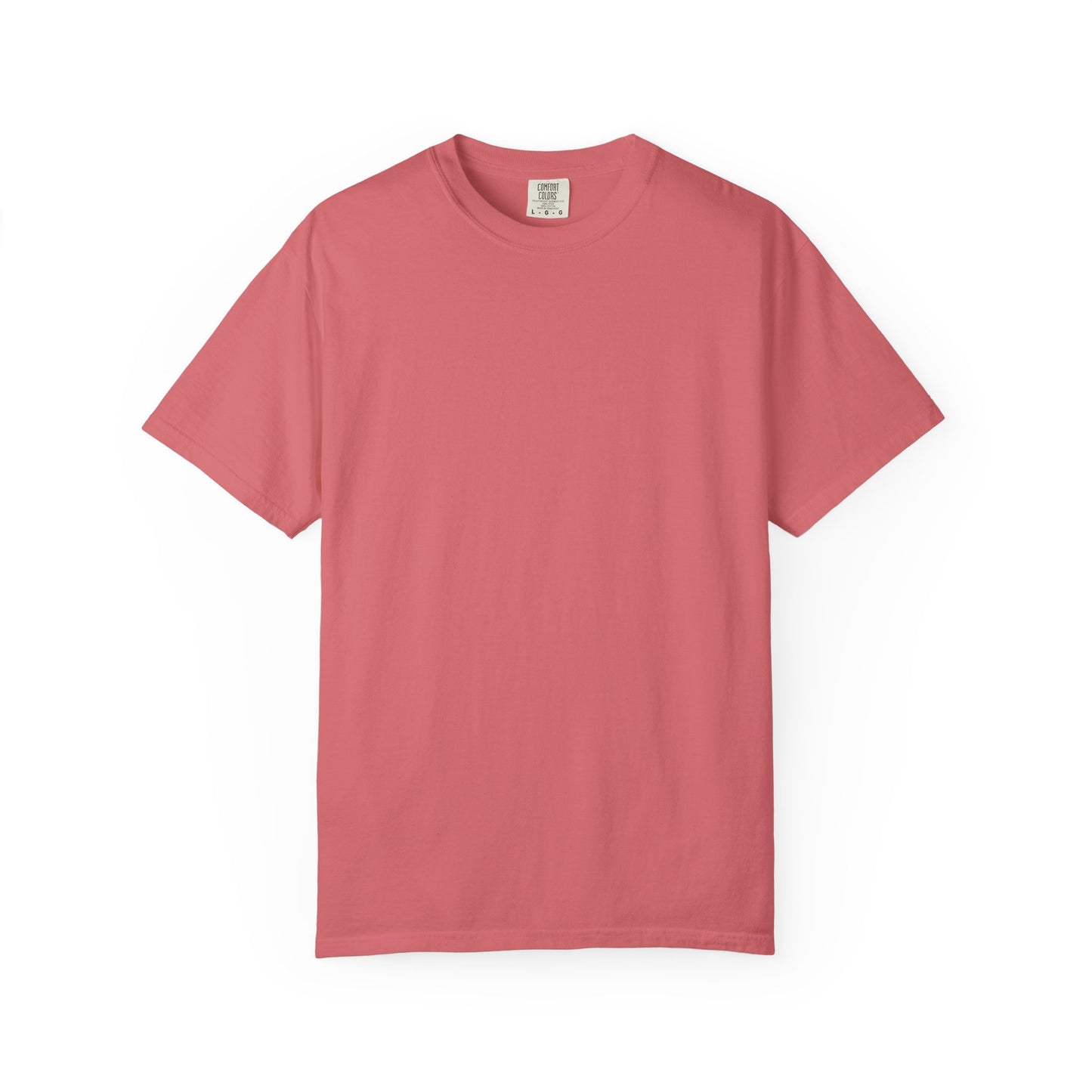Camiseta unisex teñida con ropa con diseño “El plan de la sociedad de Dios”, camiseta inspiradora, ropa casual para el día a día