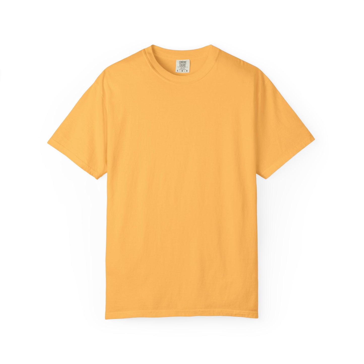 Camiseta unisex teñida con ropa con diseño “El plan de la sociedad de Dios”, camiseta inspiradora, ropa casual para el día a día