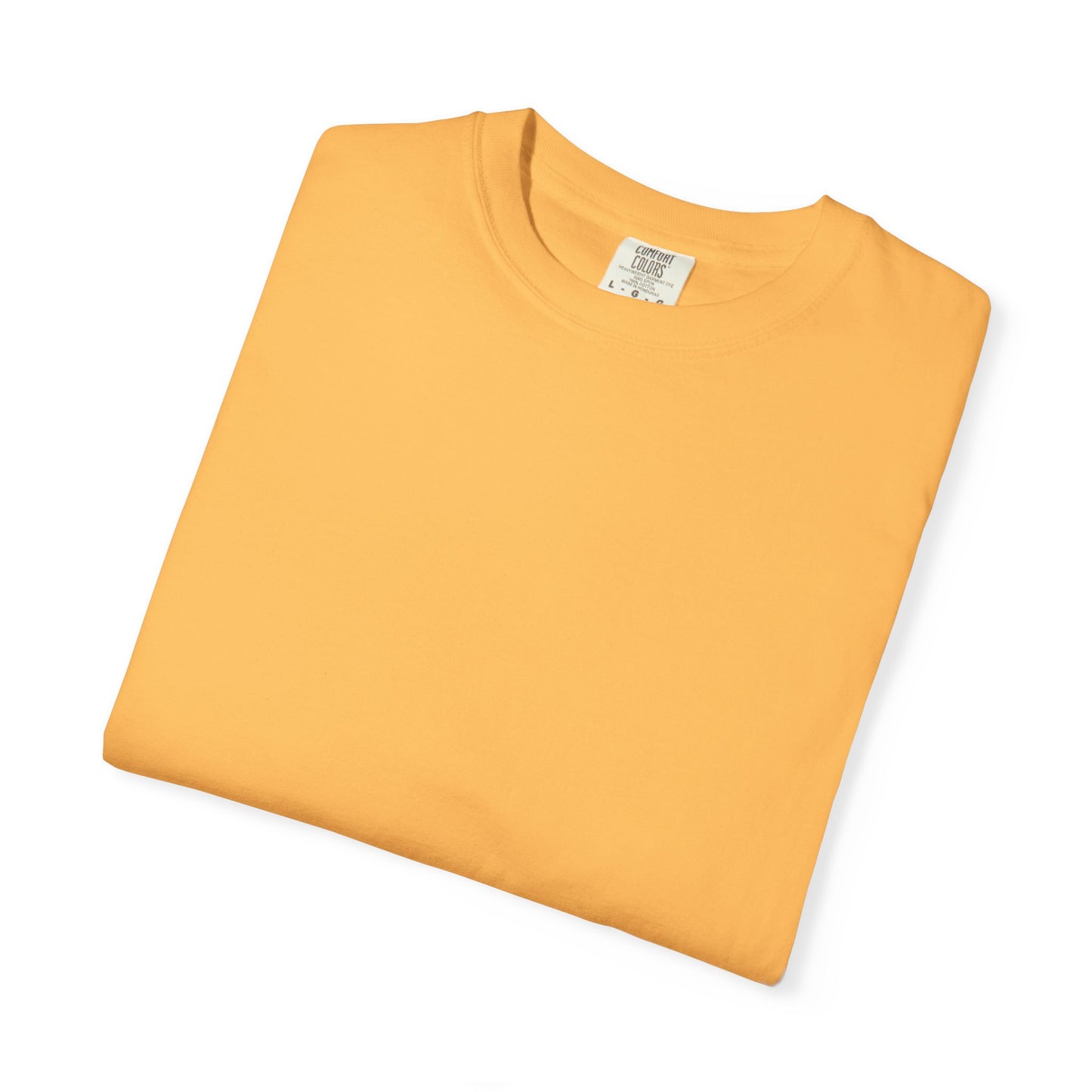 Camiseta unisex teñida con ropa con diseño “El plan de la sociedad de Dios”, camiseta inspiradora, ropa casual para el día a día